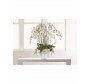 Gorgeous white phalaenopsis in a pedestal bowl