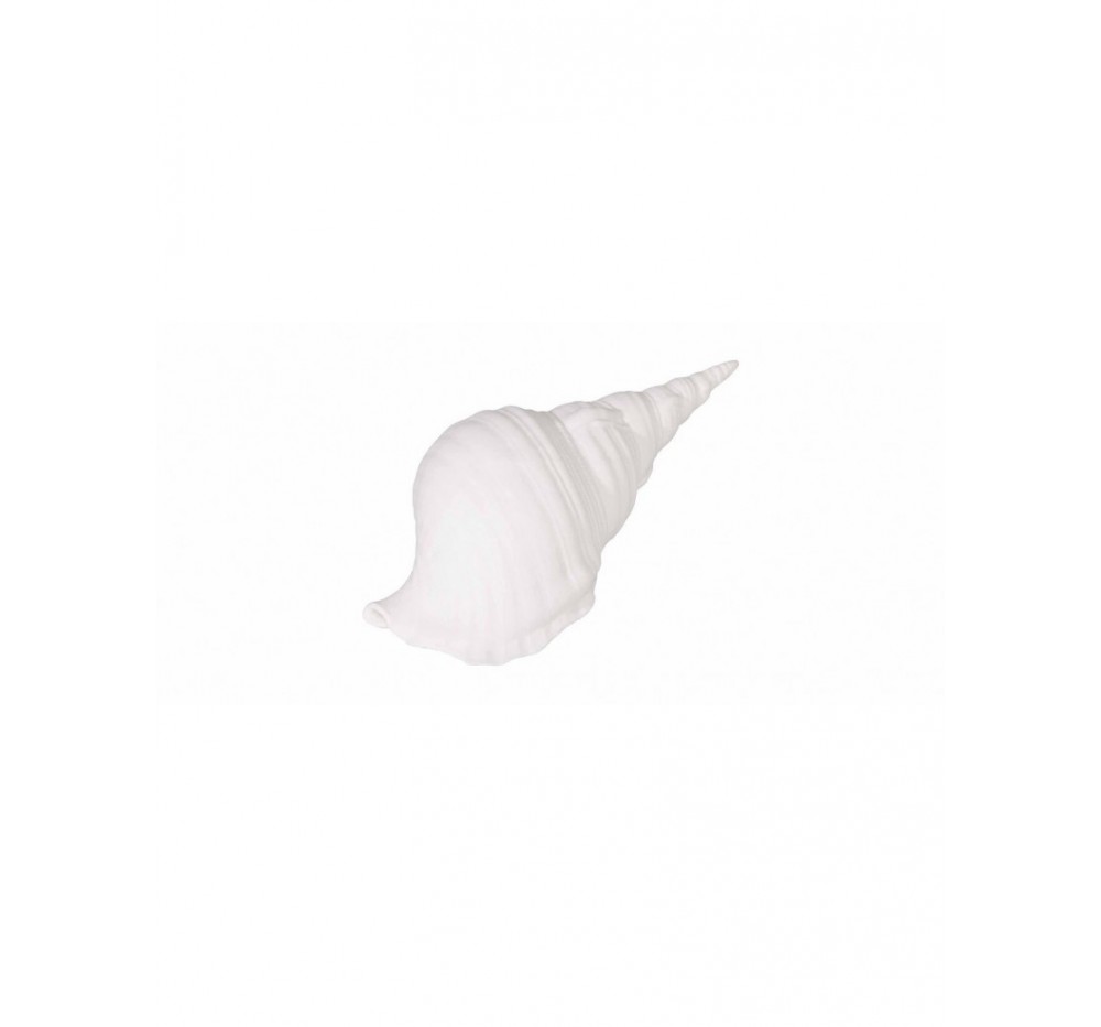 White bone china shell