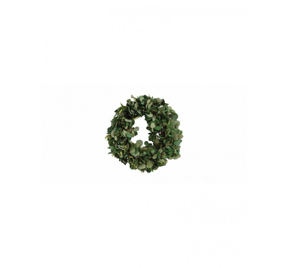 Beautiful 24-inch Aspen and Olive Wreath