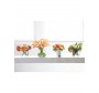 Calla lilies in glass vase, orange